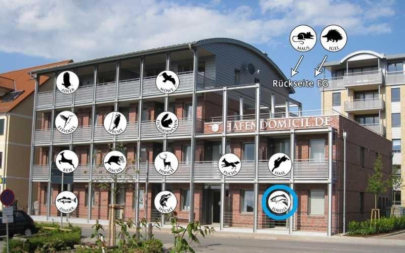 Hafendomicil Appartement Wh01 - Forelle Waren  Exterior foto